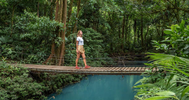 Young woman wandering in tropical rainforest walking on bridge over turquoise lagoon, Costa Rica