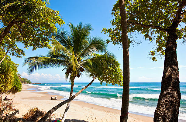 Nicoya peninsula - Tambor. Ocean view